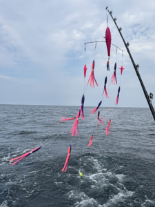 40" Bar with 13" Bird 12" Squid - Katy Perry