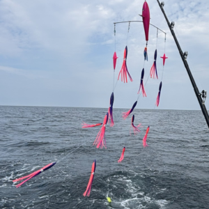 40" Bar with 13" Bird 12" Squid - Katy Perry