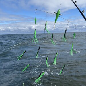 36" Bar 10" Bird 10" Squid - Green & Black